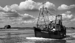 在线短信云呼网