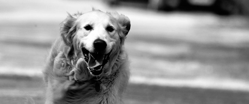 无损数据迁移的无限拨打电话软件